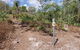 Walker Creek - thumb 2