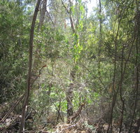 Wangaratta Common Nature Conservation Reserve