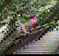 Wonga Walk - Hervey Bay Accommodation