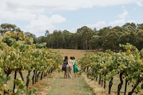 Hunter Valley Premium Food & Drink Pairing Tour - Hervey Bay Accommodation 5