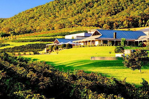 Hunter Express Helicopter Flight - Hervey Bay Accommodation 4
