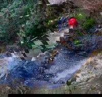 Small-Group Full-Day Canyoning and Abseiling Adventure from Katoomba - Hervey Bay Accommodation