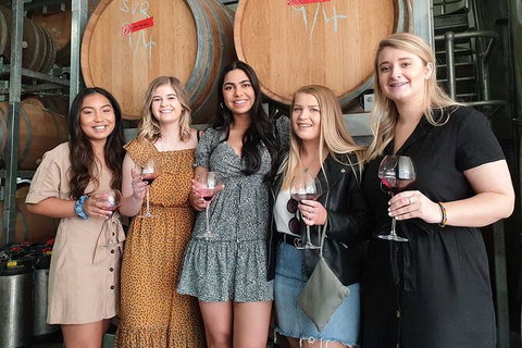 Hunter Valley Wine Tour From The Hunter With Wine Craft Beer Cheese Chocolate - Hervey Bay Accommodation 1