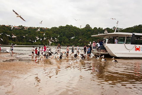 Catch A Crab Tour With Optional Seafood Lunch - Tourism Hervey Bay 1