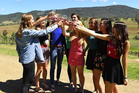 Hunter Valley Wine Tour Ex Newcastle Incl Lunch, Cheese, Chocolate & Distillery - Hervey Bay Accommodation 10