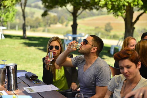 Hunter Valley Wine Tour Ex Newcastle Incl Lunch, Cheese, Chocolate & Distillery - Hervey Bay Accommodation 0