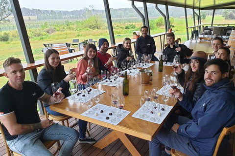Hunter Valley Wine Tour Ex Newcastle Incl Lunch, Cheese, Chocolate & Distillery - Hervey Bay Accommodation 6