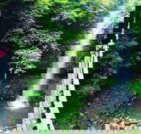 Rainforest  Waterfall Experience