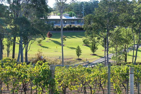Tulloch Wines - Wine Tasting Paired With Local Handmade Chocolates - Hervey Bay Accommodation 4
