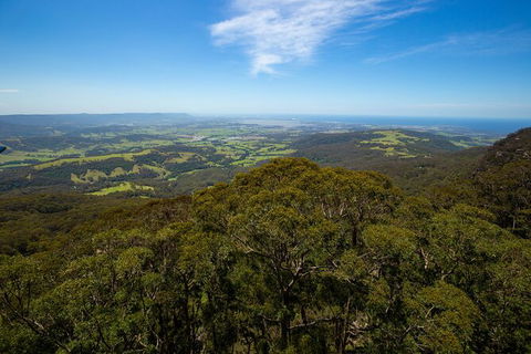 Illawarra Fly Treetop Adventures Treetop Walk Admission Ticket - Tourism Hervey Bay 6