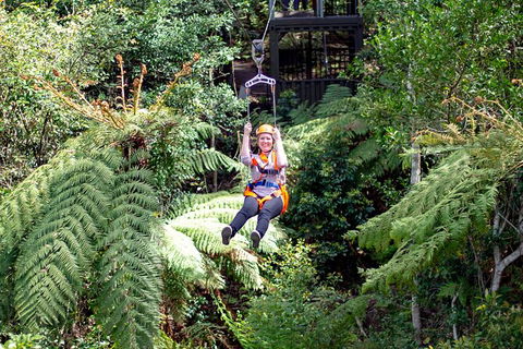 Illawarra Fly Treetop Adventures Treetop Walk Admission Ticket - Tourism Hervey Bay 2