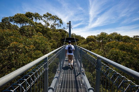 Illawarra Fly Treetop Adventures Treetop Walk Admission Ticket - Tourism Hervey Bay 0