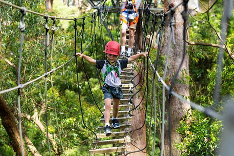 Illawarra Fly Treetop Adventures Treetop Walk Admission Ticket - Tourism Hervey Bay 3