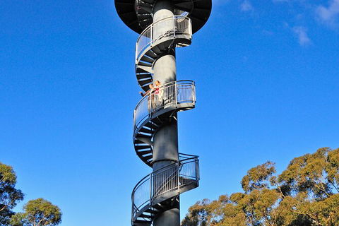 Illawarra Fly Treetop Adventures Treetop Walk Admission Ticket - Tourism Hervey Bay 5