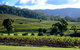 Ivanhoe Wines: Trip Advisor Seated Wine Tasting Masterclass - thumb 4