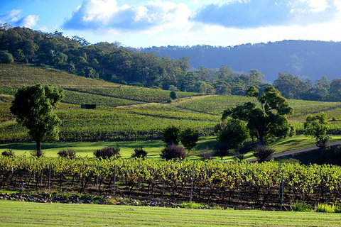 Ivanhoe Wines: Trip Advisor Seated Wine Tasting Masterclass - Hervey Bay Accommodation 4