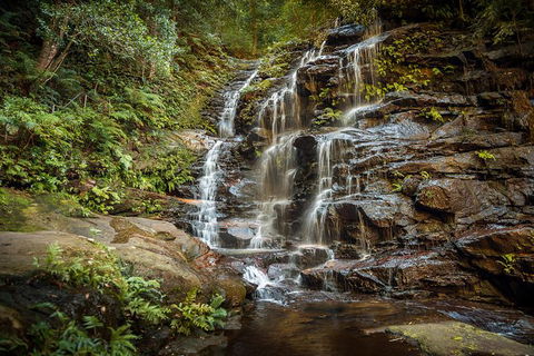Ultimate Blue Mountains Waterfalls, Walks & Sunset PRIVATE Tour - Hervey Bay Accommodation 10