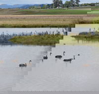 Beardy Waters Dam and Woodlands - Hervey Bay Accommodation