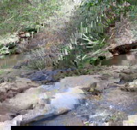 Bomaderry Creek Regional Park - Hervey Bay Accommodation