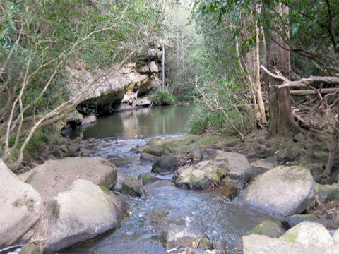 Bomaderry Creek Regional Park - Hervey Bay Accommodation 0