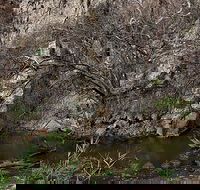 Brisbane Ranges National Park - Hervey Bay Accommodation