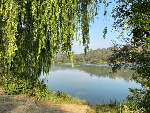 Eildon Pondage Walk - Tourism Hervey Bay 1