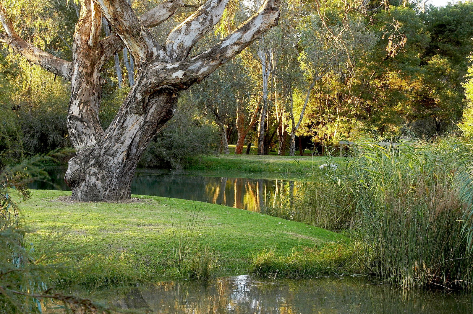 Gateway Island VIC Hervey Bay Accommodation