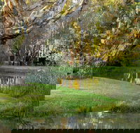 Gateway Island Parklands - Hervey Bay Accommodation
