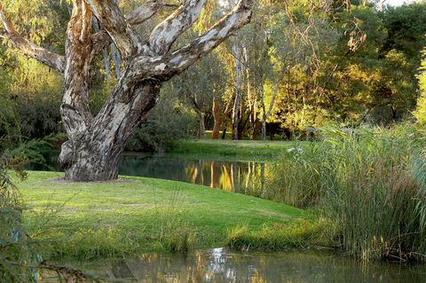 Gateway Island Parklands - Tourism Hervey Bay 0