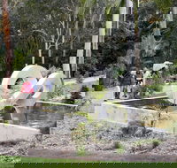 Maroochy Regional Bushland Botanic Garden - Tourism Hervey Bay