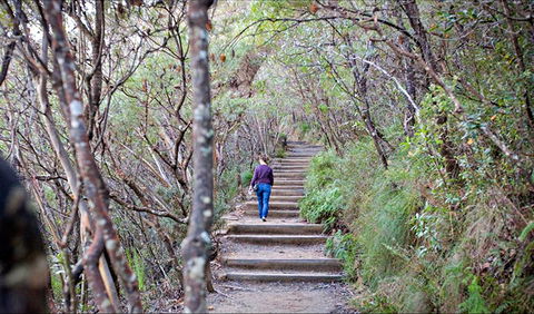 Princes Rock Walking Track - Hervey Bay Accommodation 0