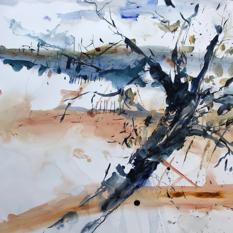 Sandra Blackburne Art Studio And Gallery - Hervey Bay Accommodation 2