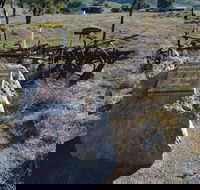 Wangaraleednie Monument  Ruins - Hervey Bay Accommodation