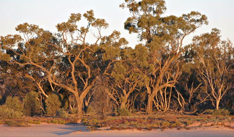 Yawura Yarun - Hervey Bay Accommodation 0