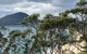 Newcastle Airport To The Tomaree Peninsula. - thumb 0