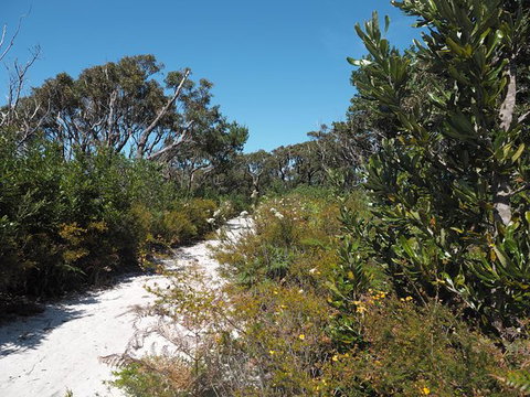 Big Rocky! Full Day Guided Walk - Hervey Bay Accommodation 8