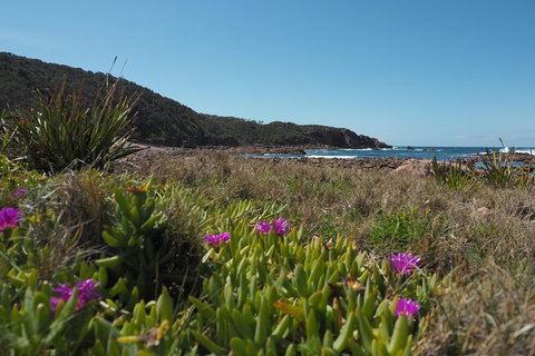 Big Rocky! Full Day Guided Walk - Hervey Bay Accommodation 0