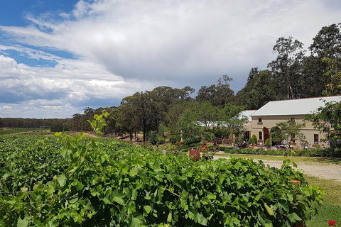 Tintilla Estate: Wine Tasting With A Meat And Cheese Platter - Hervey Bay Accommodation 5