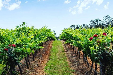 Tintilla Estate: Wine Tasting With A Meat And Cheese Platter - Hervey Bay Accommodation 0