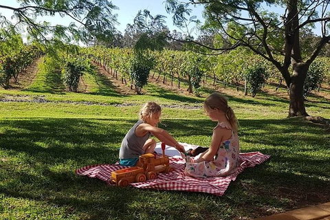 Tintilla Estate: Wine Tasting With A Meat And Cheese Platter - Hervey Bay Accommodation 2
