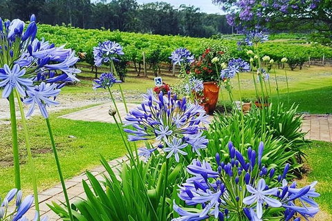 Tintilla Estate: Wine Tasting With A Meat And Cheese Platter - Hervey Bay Accommodation 4