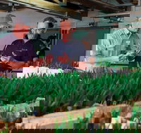 A Taste Of Norfolk - Tourism Hervey Bay