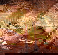 Jenolan Caves Ribbon Cave Tour