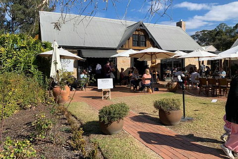 Hunter Valley Winery Tours - Hervey Bay Accommodation 4