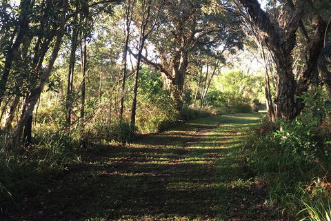 Coffs Harbour To Sawtell Bike Ride - Hervey Bay Accommodation 7