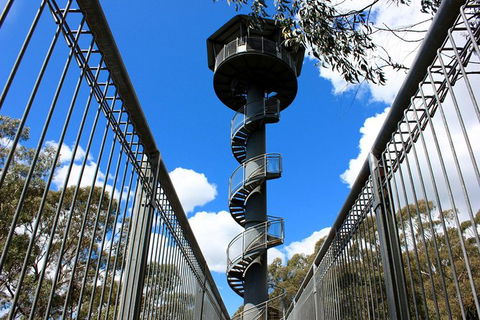 Illawarra Fly Treetop Adventures Admission Including Zipline Tour - Tourism Hervey Bay 3