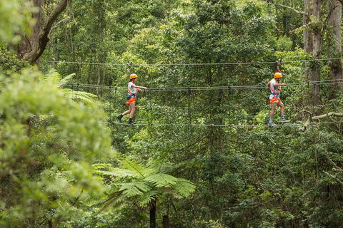 Illawarra Fly Treetop Adventures Admission Including Zipline Tour - Tourism Hervey Bay 0