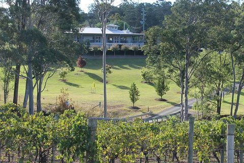 Tulloch Wines- Tasting Of 6 Pokolbin Dry Red Shiraz Vintages With Charcuterie - Hervey Bay Accommodation 6