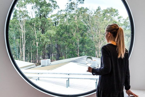 The Brokenwood Journey - Hervey Bay Accommodation 4
