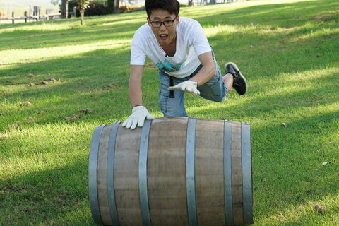 Hunter Valley Wine Barrel Rolling - Hervey Bay Accommodation 2